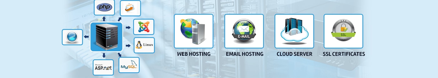 web hosting service,web hosting company in delhi,Noida,Gurgaon,India