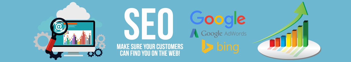 SEO Services, seo company in noida,seo company in India